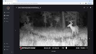 StealthCam Cellular Trail Cameras and Command Web Portal