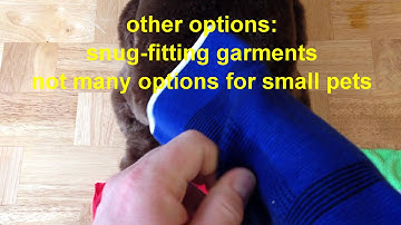 Micro-Pulse ICES PEMF Tutorial 7 - Coil Placement Step #2