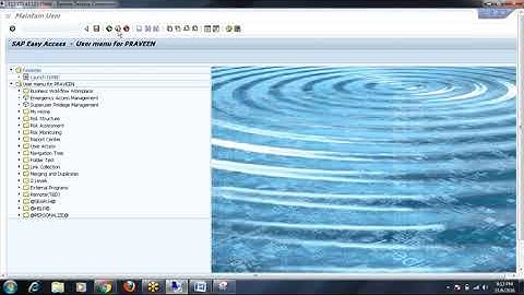 SAP GRC | GRC AC ARM | MSMP Workflow | GRC Access Control |