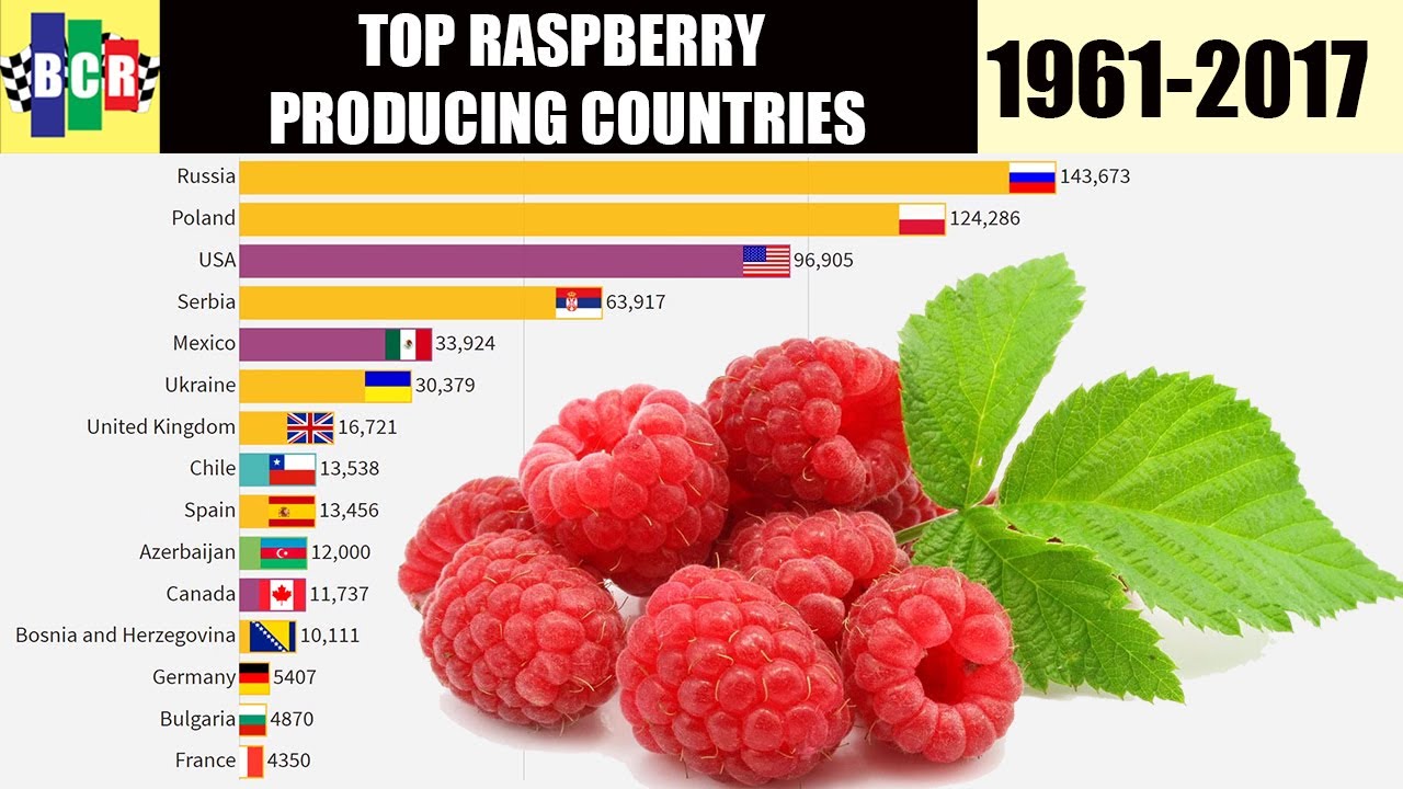 Top 15 Raspberry Producing Countries in Tonnes 19612017 YouTube