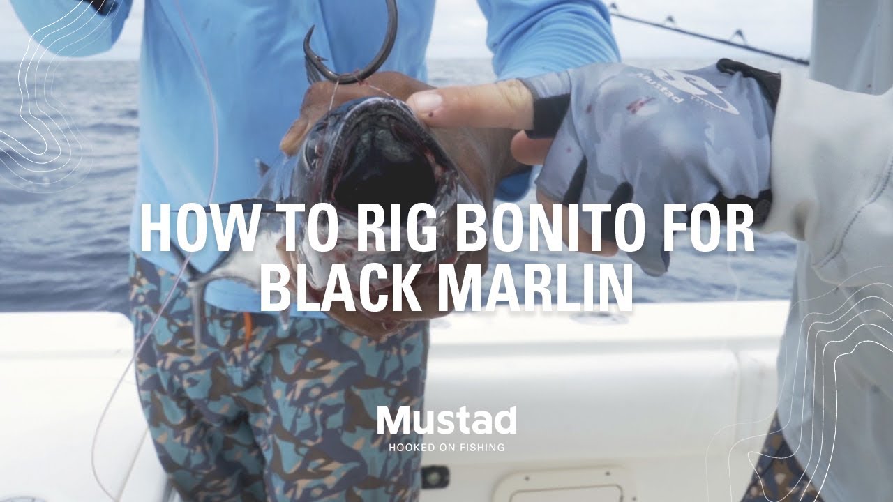 How To Rig Bonito For Black Marlin