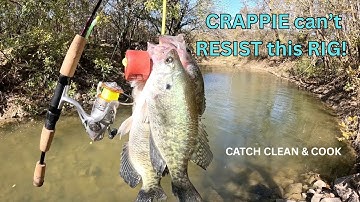 A SIMPLE Rig That FILLS My STRINGER With Crappie RIGHT NOW With NO BOAT! CATCH CLEAN & COOK!
