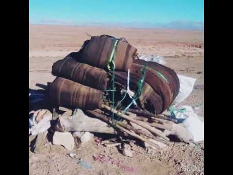 مامر المطرب محمد الطلب الحبيط