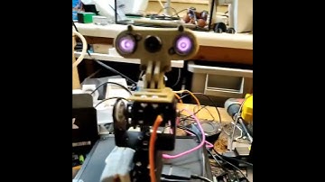 Face ID Identification and Tracking Robot IR Camera ROS Raspberry Pi Arduino