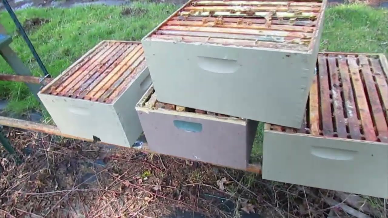 Spring-time, Crunch-time.  2-26-26