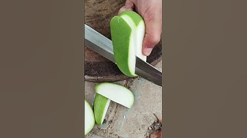 RT  mini rotary tillage and ridging all-in one tree  short view rogator rotarymower