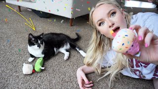 The One Where Its Boos Birthday 🎂🎉
✩ welcome to my vlog channel! please suscribe and *LIKE* the video!
#dailyvlog
Kiki Chanel
PO Box 16
Vandalia, OH 45377-9998
——————————————————————————————
ALL MUSIC - https://www.epidemicsound.com/referral/po77uq
——————————————————————————————
LINKS
https://amzlink.to/az0NwYjDDb7i8
Tripod Phone Stand
https://amzlink.to/az0CN7uzceHRL
Miracase Glass Series iPhone Case
https://amzlink.to/az0sqKOIZlOuq
Chefn Hand-Held Slicer Strawberry Slicester
https://amzlink.to/az0A6k4YEc6Cn
Birthday Cake Cat Toy Set
https://amzlink.to/az0QNGJjAff8Q
Catstages Crunchy Pickle Kicker Dental Catnip Cat Toy
#cat #bday #cats #birthday
FTC DISCLAIMER: Some of the links above are affiliate links from which I make a commission when you make a purchase using them. The One Where Its Boos Birthday 🎂🎉