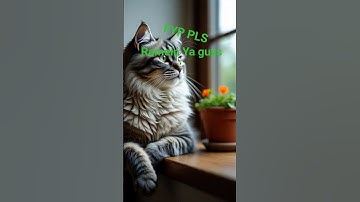 #remix #djremix #dj #cat #music #kucing #kucinglucu #funny #cute