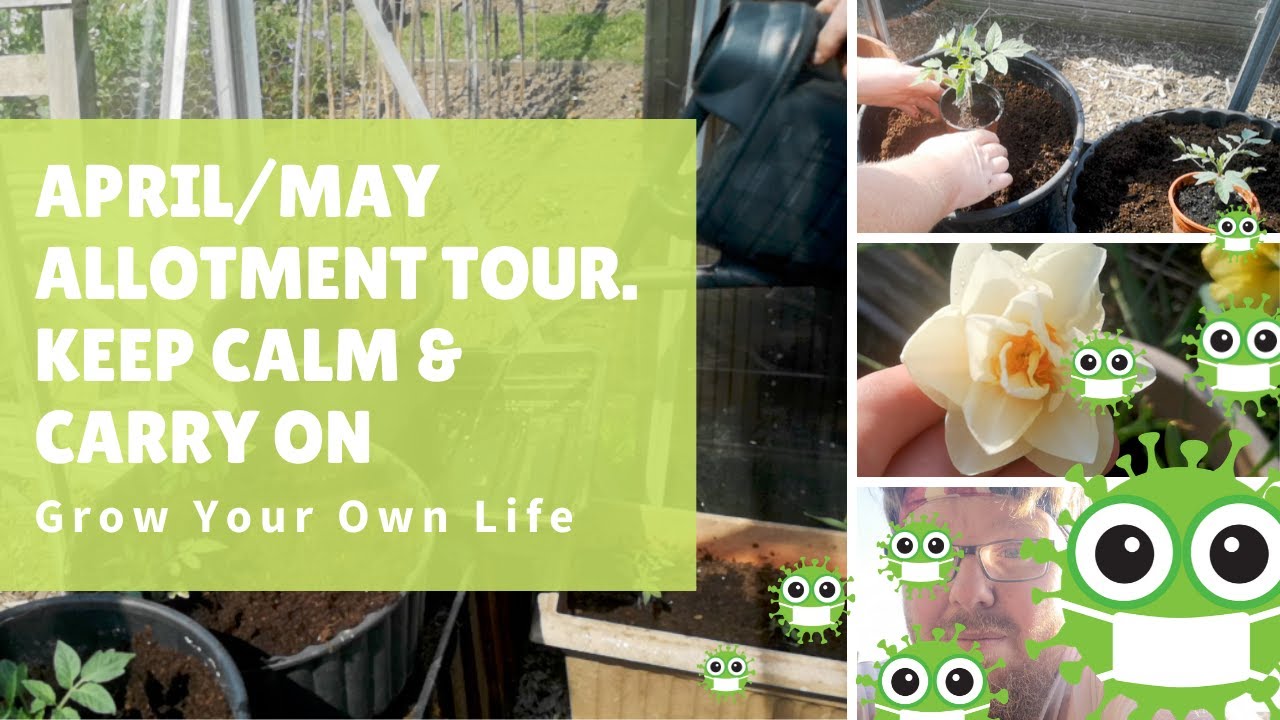 Allotment Tour April / May - Gardening ideas - vegetable gardening