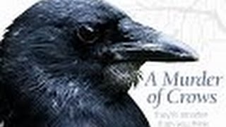 Documentary 2015 || National Geographic 2015  || BBC Documentary || HD Documentary