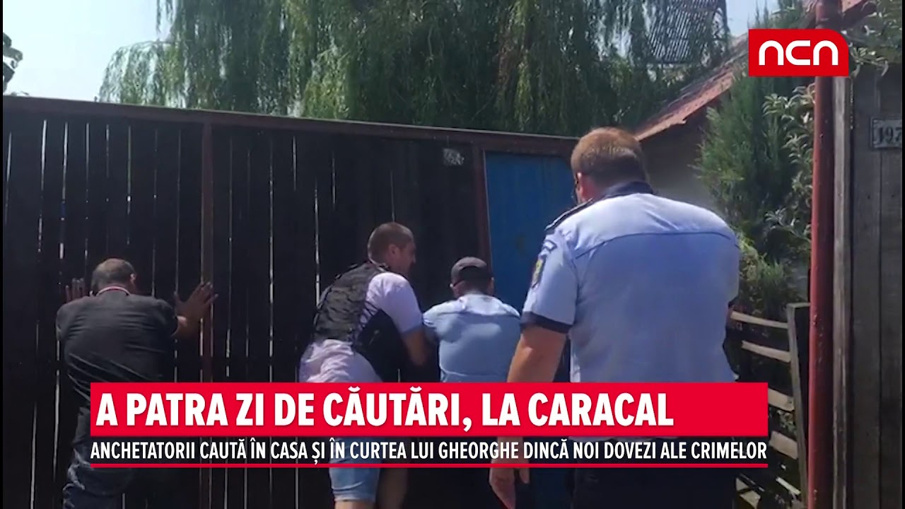A PATRA ZI DE CAUTARI, LA CARACAL stories we tell