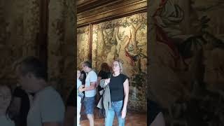 Шенонсо (Chenonceaux) - любимый замок королевы Екатерины Медичи.