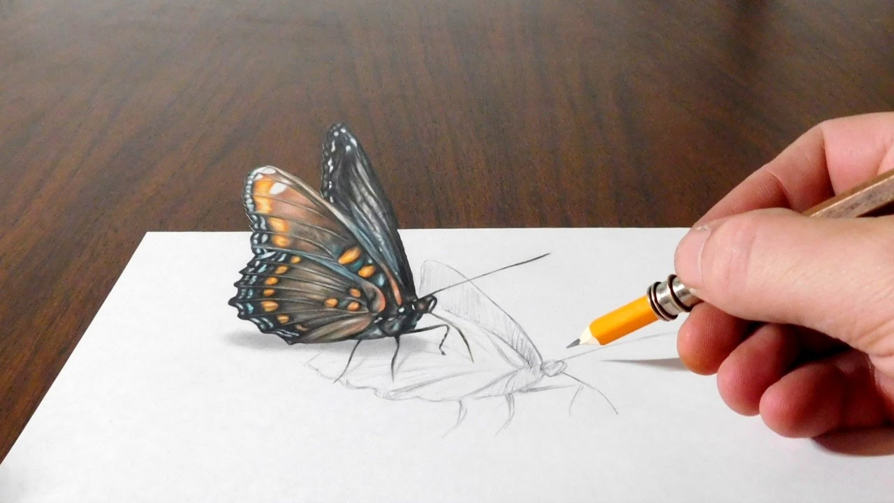 How to Draw 3D Butterfly in Simple Way, Anamorphic illusion