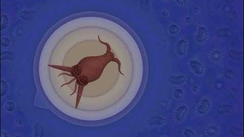 Spore:The Cell Stage Walkthrough Part 2