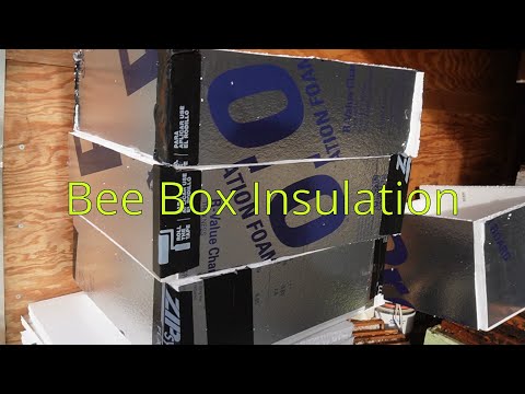 BeeBox Insulation! #bee #beekeeper #bees #beekeeping #beebox #insulation #honey #honeybee #honeybees