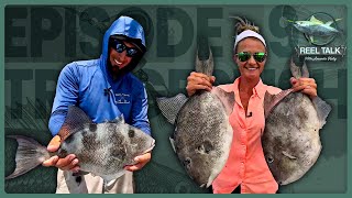 Grey Triggerfish open through May | Reel Talk