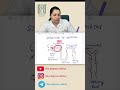 Excretion | Life Processes | Chapter 1 | Class 10| By Pallavi Kohli #biology #neet #exam