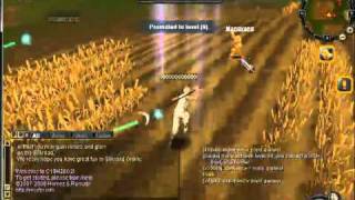 Silkroad Online Private Server