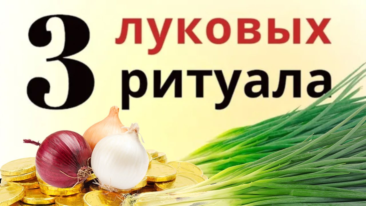 Разрежьте несколько луковиц, и разложите их в комнате - YouTube