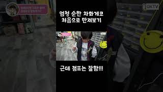 엄청 순한 도마뱀 차화게코 만지기 도전 하는#shorts   #short  #카멜레온 #파충류 #크레스티드게코 #미스터트롯 #미스터트롯2 #이찬성  #차화게코#서지유