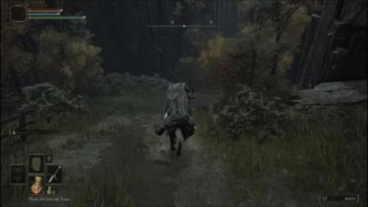 FACING OUR FIRST BOSS | Rune's Elden Ring Guide Part 3