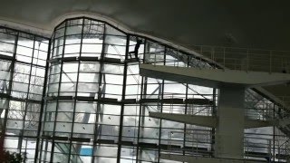 high diving 10m: reverse somersault (auerbach, slow motion)