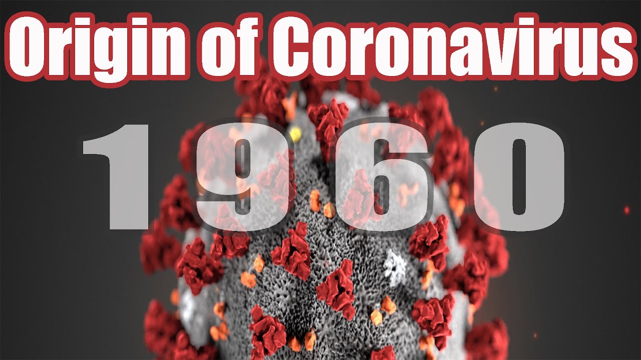 The Origin Of Coronavirus | COVID-19 | Explained | In Hindi | 2020