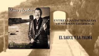 Estrellas de Sinaloa - El Sauce Y La Palma 🌴🌴  | INSTRUMENTAL