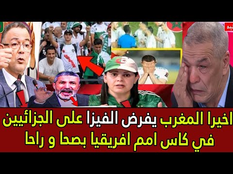 أخيرا المغرب يذل الجزائر بفرض الفيزا على الجزائريين في كأس إفريقيا