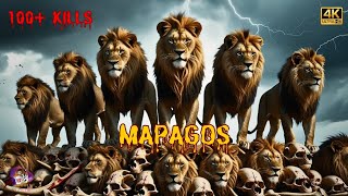 WORLD'S DEADLIEST LIONS :- Watch The Epic Story Of Mapago Lion Coailatin Trailer in Hindi.