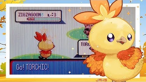 LIVE! Shiny Torchic appears after only 2,859 SRs on Pokemon Ruby!!