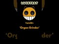 LUCKYKAT Organ Grinder From The 1st Album HumAIn mp3