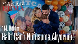 Halit Can'ı nüfusuma alıyorum! - Yasak Elma 114. Bölüm