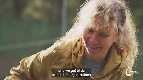 Our community grants program on the Sunshine Coast