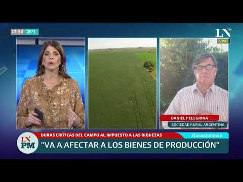 Daniel Pelegrina aseguró