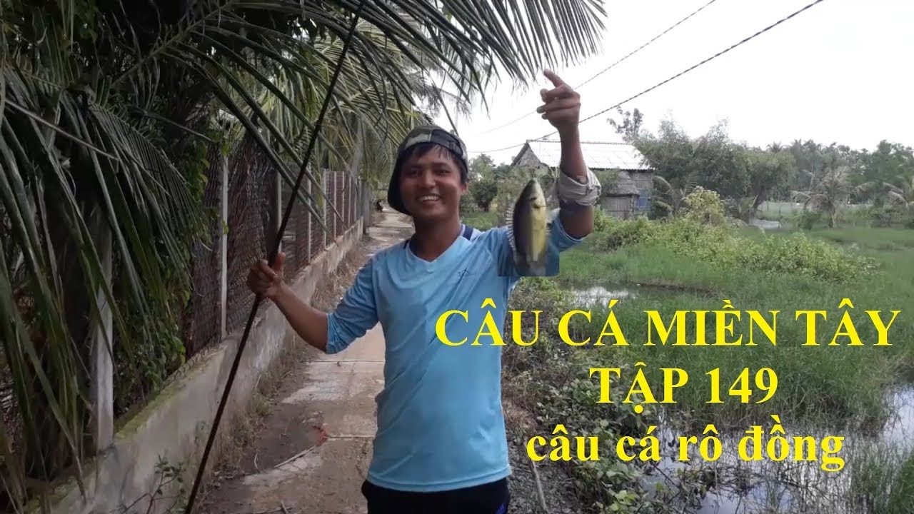 CÂU CÁ MIỀN TÂY TẬP 149 CÂU CÁ RÔ ĐỒNG BẰNG MỒI TRỨNG KIẾN HUYNH
