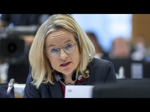 ვიოლა ფონ კრამონი  პრემიერ-მინისტრის, ირაკლი ღარიბაშვილის ბრალდებებს პასუხობს