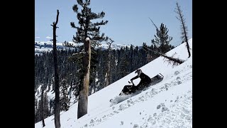 HCO SledFest 2022 at Bear Valley Resort California .