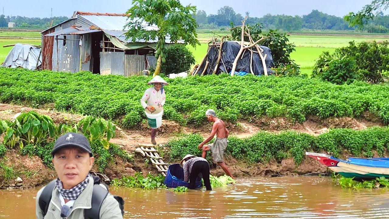 Trồng Bắp Cải, Bí Rợ, Ớt Xiêm Rừng, Hành Lá,  Vùng Quê Hoang Vắng Ngưòi Khmer Sóc Trăng 2026