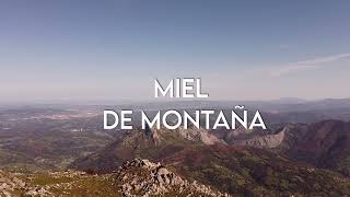 IGP Miel de Asturias - Nuestras mieles