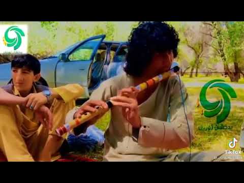 بهترینه توله بعد از تو دیگر یار نگیرم گوش نکنی پشیمان میشی 