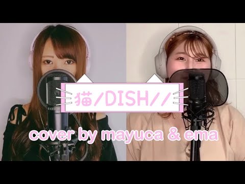 猫/DISH// (+5)cover by mayuca&ema