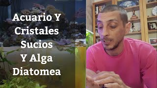🔵 Acuario Sucio, Cristales Marrones Y Algas Diatomeas (Acuarios MB)