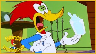 Woody Woodpecker Show | That Healing Feeling | Full Episode | Cartoons For Children