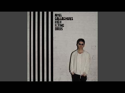 Noel Gallagher's High Flying Birds - In the Heat of the Moment