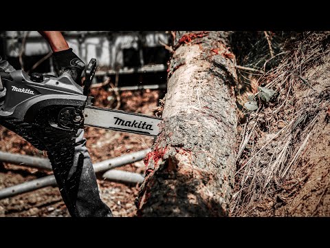 Act.6 | '서산의 토르' | 장작 패기| makita 전기톱으로 나무 자르기 | 도끼질 | 4K