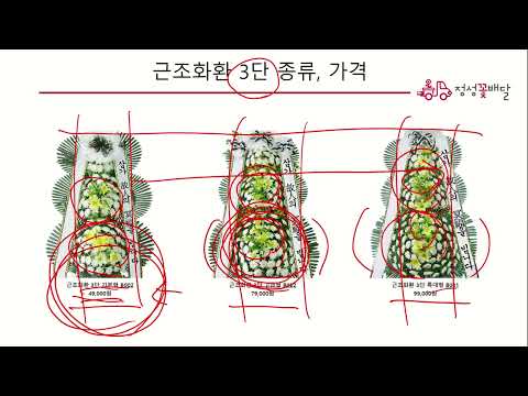 장례식장 근조화환 종류, 가격, 문구, 주문 방법 안내