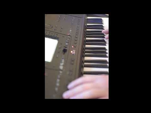 Моя хата в вишневім садочку SelfBand Korg PA50 