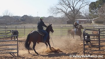 Thirdcuttingscdroyal and Retta Kat - sorting - ValleyViewRanch.net