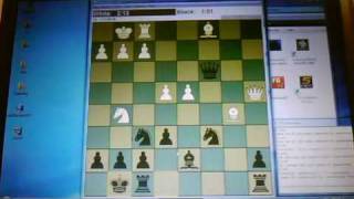 20091005 Queen's Gambit Slav Defence